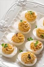 Boiled eggs stuffed with yolk with mayonnaise, on a white plate, selective focus, blurry, close-up,