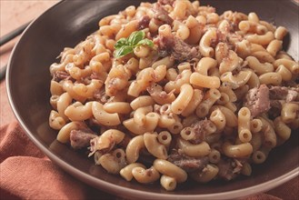 Pasta with stewed meat, pasta in the navy, horns, homemade, no people