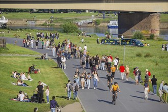 Men's groups out and about on the banks of the Elbe, the Elbe cycle path and the Elbe meadows,