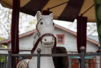 Wooden horse of an old carousel, Riga, Latvia, Europe