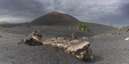 Chinyero volcano, Arena Negras zone, Teide National Park, Tenerife, Canary Islands, Spain, Europe