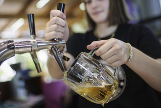 Symbol photo on the subject of serving beer. A woman taps a draught beer in a cafe in Berlin,