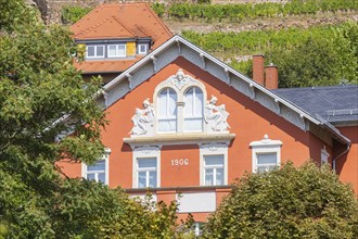 Villas in the vineyards, Radebeul Weinhänge, Radebeul, Saxony, Germany, Europe