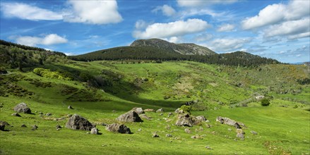 Lush Green Landscape of Mont Mezenc in in the Monts d'Ardeche Regional Natural Park,