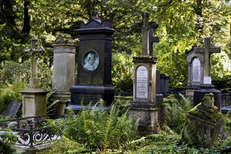 Old gravestones surrounded by green nature, Old Cemetery, Bonn, North Rhine-Westphalia, Germany,