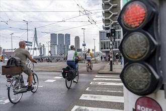 Bicycle traffic light, cyclist on cycle path, cycling at red light, in front of the Erasmus Bridge