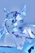 Michas Cats, art, mixed media, artist Michael Preyer, abstract cat portrait, portrait, cat head,