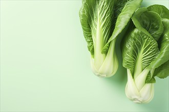 Two boy choy vegetables on mint green background with copy space. KI generiert, generiert AI