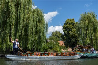 Spreewald barge for tourists, Lübben, Brandenburg, Germany, Europe