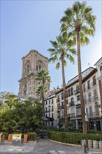 High bell tower with palm trees on a busy street under a blue sky, Granada