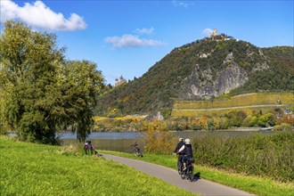 Cycle path on the Drachenfels, a mountain in the Siebengebirge on the Rhine between Bad Honnef and