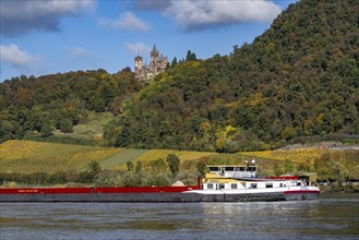 Drachenfels, a mountain in the Siebengebirge on the Rhine between Bad Honnef and Königswinter, with