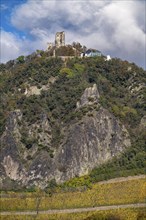 Drachenfels, a mountain in the Siebengebirge on the Rhine between Bad Honnef and Königswinter, with