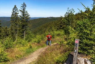 Hiking in the Sauerland, on the Rothaarsteig, here near Jagdhaus, a district of Schmallenberg North