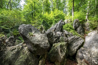 The Felsenmeer in Hemer, Sauerland, geotope, with rugged rock formations, nature reserve, North