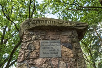 Monument at the grave of the heath poet Hermann Löns, in the Tietlinger Wacholderhain, near Bad