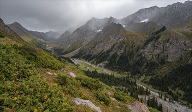 Green mountain valley with river and steep mountain peaks, Chong Kyzyl Suu Valley, Terskey Ala Too,