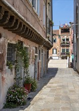 Alley in the streets of Venice, flower pots at the house entrance, Venice, Veneto, Italy, Europe