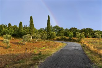 Landscape in the evening light, nature, landscape, weather, rain, sun, dramatic, rural, tourism,