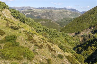 Forested hillsides of mountainous countryside between Himare and Vuno, Albanian Riviera coast,