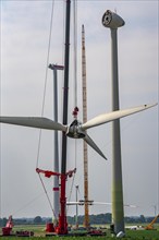 Dismantling of a wind power plant in a wind farm near Issum, 9 older wind turbines from the