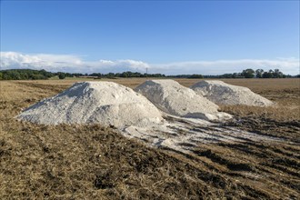 Piles of lime calcium carbonate in field for liming farmland soil, Suffolk, England, UK