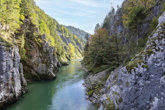 A river that flows through a narrow gorge with high, wooded cliffs, Klobenstein