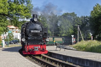 A steam locomotive with smoke travelling on rails through a wooded area, Rügen, Rasender Roland