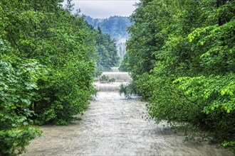 A river with strong rapids between dense, green trees in the forest, Jenbach, Bad Feilnbach