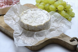 French Camembert, cheese on a wooden board