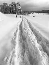 Black and white landscape of snow path is leading to the forest in the distance. Foot tracks