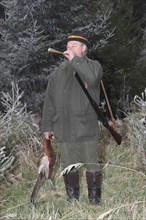 Hunter with pheasant (Phasianus colchicus) blowing for the end of the hunt, Lower Austria, Austria,