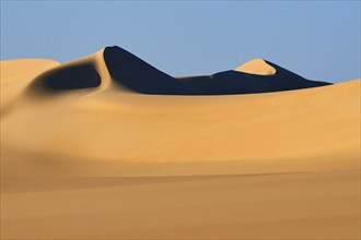 Soft, curved sand dunes cast deep shadows in the golden desert landscape under a clear blue sky,