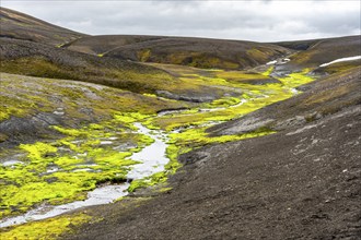 Colourful volcanic landscape with hills and snow, volcanic hot springs, Laugavegur trekking trail,