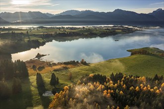 Aerial view of a lake in front of mountains in the morning light, fog, autumn, Forggensee, view of