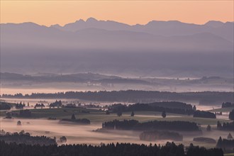 Foggy mood, morning light, mountain landscape, autumn, Alpine foothills, Königswinkel, view of