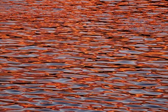 Water with reflections from the sunset, background image, shiny