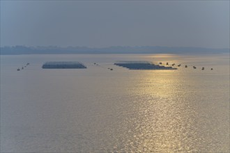 Gentle sunset over calm sea Fish farm, Salmon farm, Bergen, North Sea, Norway, Europe