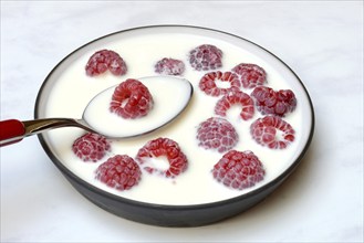 Raspberries with milk in skin, Rubus idaeus