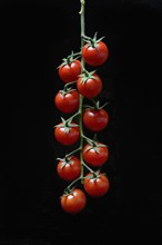 Cherry tomatoes on a stick, cherry tomato