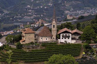 Round church of St. George, St. Georgen, vineyards, vines, Scena, Scena, South Tyrol, Autonomous