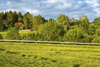 Rural area and freshly mown meadow in the evening light, Swabian Alb, Münsingen, Baden-Württemberg,