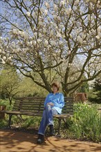 Woman sitting on a wooden bench in front of a blooming magnolia (Magnolia spec.) in spring, North