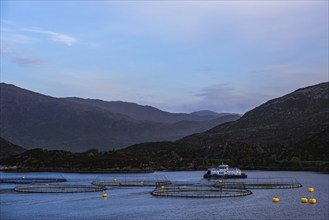 Sunset over Salmon farm in Norway, Innvikfjorden, Olden, Norway, Europe