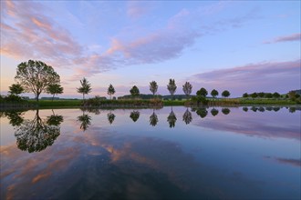 Lake in spring with row of trees and reflection at sunset, Drei Gleichen, Ilm-Kreis, Thuringia,