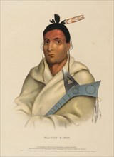 Waa-Top-E-Not (1843), Native American, Historical Native American tribes from North America,