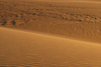 Close-up of a sand dune illuminated by sunlight with wave patterns in the sand, Matruh, Great Sand