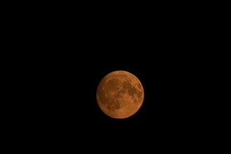 Full super moon red orange in colour in the night sky, Suffolk, England, United Kingdom, Europe