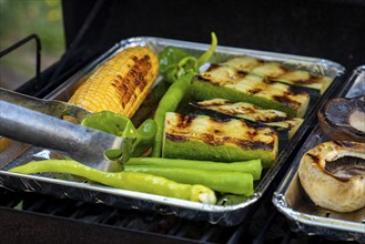 Grilled vegetables consisting of sweetcorn, green peppers and courgettes on a grill with grill