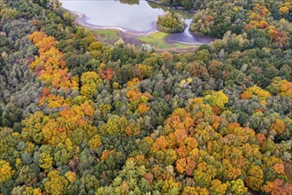 Mixed forest in autumn, colouring, aerial view, forest, autumnal, Ahlhroner Fischteiche,